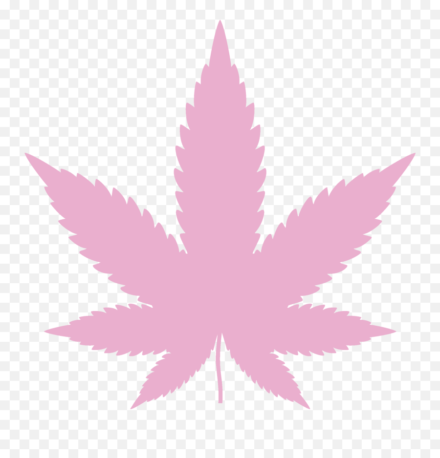 Lovebud - Cannabis Png,Cannabis Leaf Png