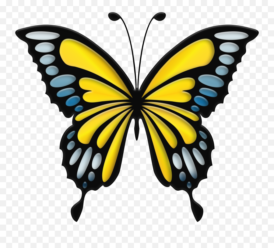 Library Of Clip Free Butterfly Png Files Blue