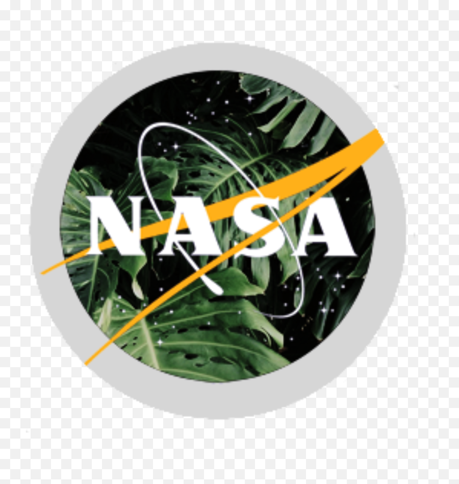 Download Aesthetic Nasa Logo - Black And White Nasa Logo Png,Nasa Logo Png