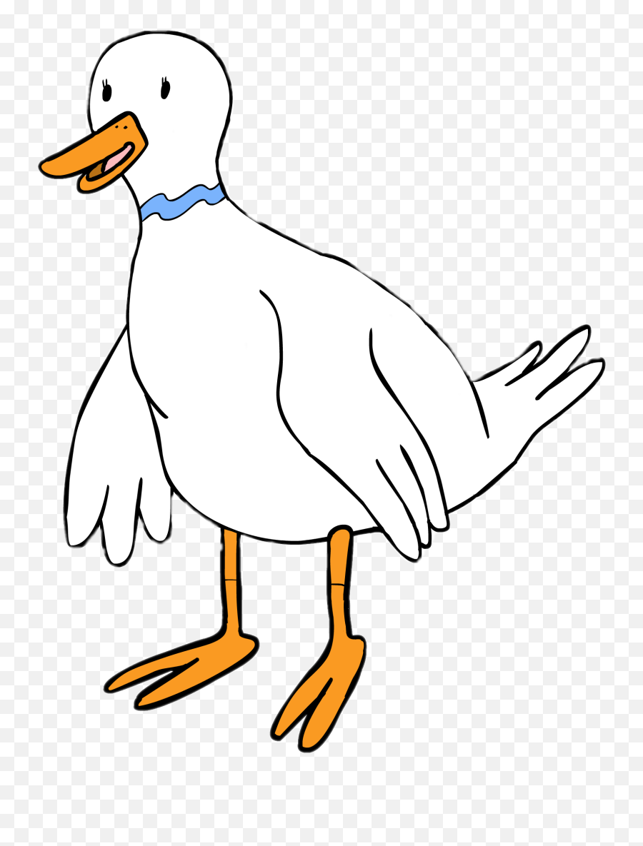 Boobafina The Duck Transparent Png - Adventure Time Boobafina,Duck Transparent
