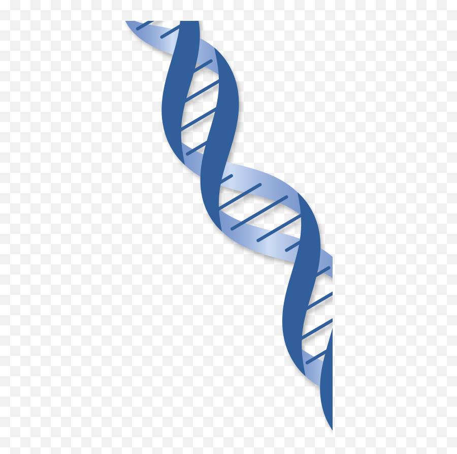 Dna Png Transparent - Strand Of Dna Transparent Transparent Background Gene Clipart,Dna Png