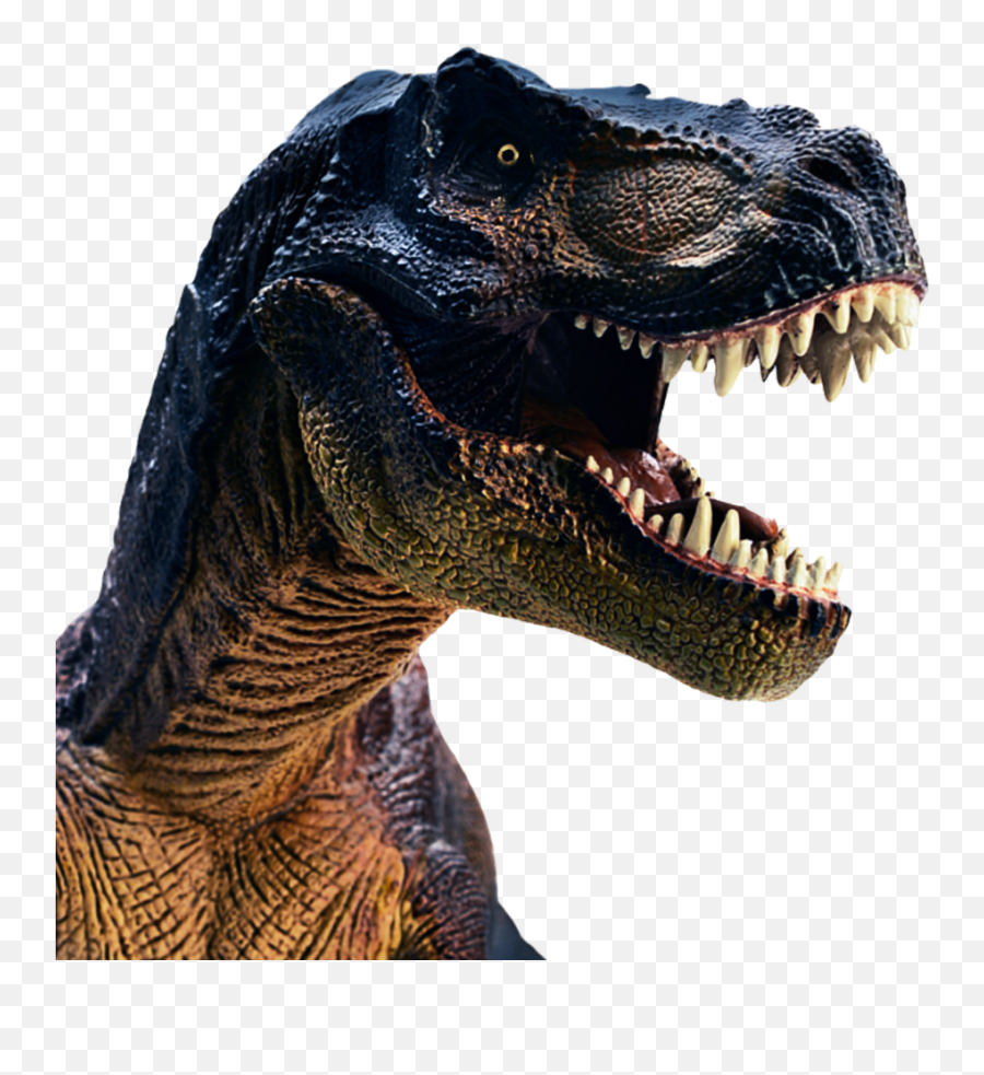 T Rex Head Png Transparent Headpng Images Pluspng - T Rex Head Transparent Background,Headshot Png