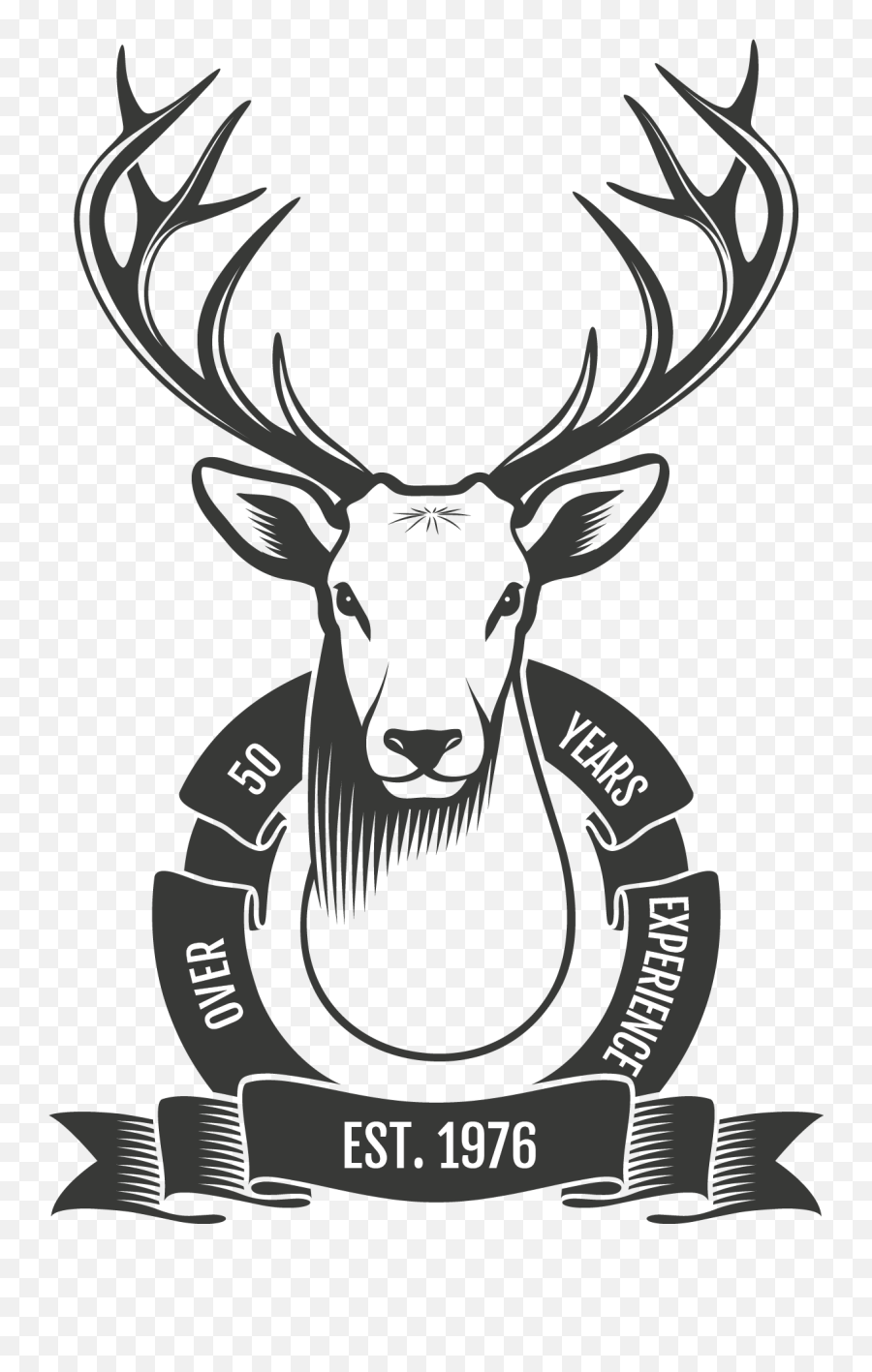 Great Bear Taxidermy Licensed Taxidermist Mike Kahlert - Venado Logo Png,Deer Head Logo