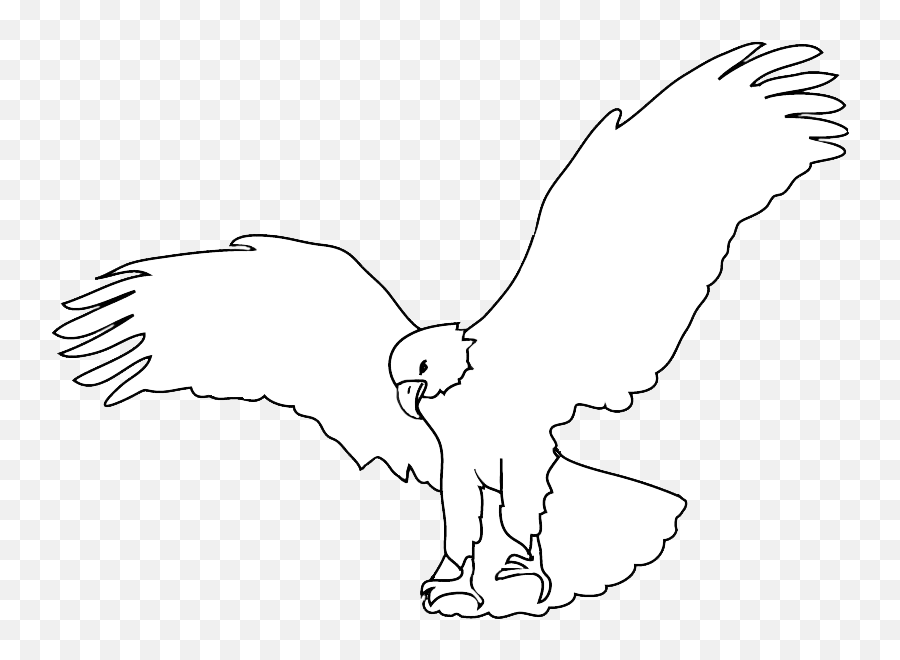 Bald Eagle Drawings - Hawk Png,Bald Eagle Png