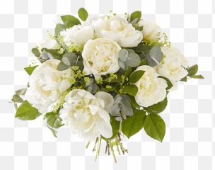 Clear Peonies - Quino Damen Png,Peonies Png
