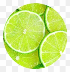 Circle Frut Limon Circulo Png Tumblr - Stiker Lemon,Limon Png