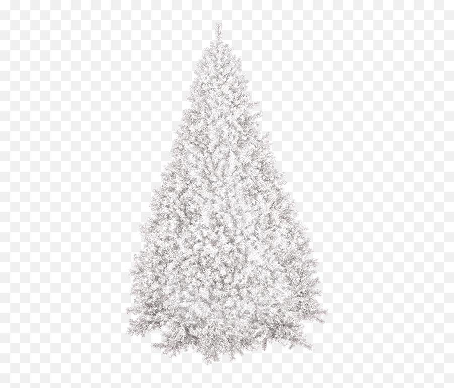 Christmas Snow Png - Silver Frosted Christmas Tree,Christmas Snow Png