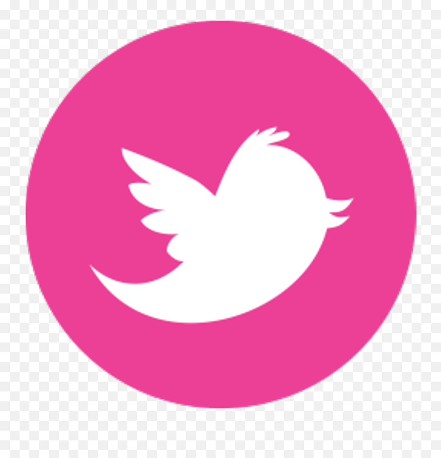 Download Hd Twitter Logo Png Pink - Transparent Pink Twitter Logo Png,Twitter Logo Image