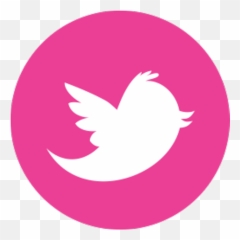 Download Hd Twitter Logo Png Pink - Transparent