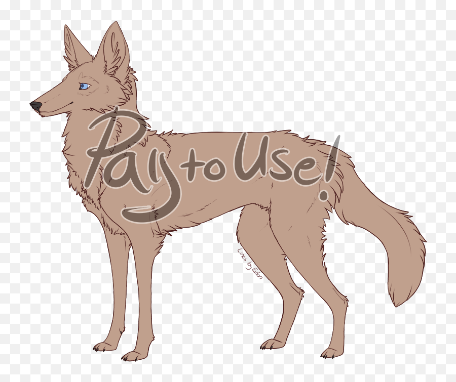 Black Backed Jackal - Dog Catches Something Full Size Png Kunming Wolfdog,Jackal Png