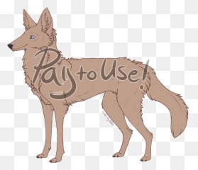 Black Backed Jackal - Dog Catches Something Full Size Png Kunming Wolfdog,Jackal Png