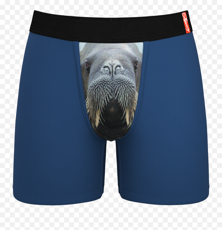 The Ballrus Walrus Ball Hammock Boxer Briefs - Underwear With Pockets For Balls Png,Walrus Png