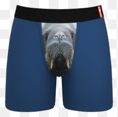 The Ballrus Walrus Ball Hammock Boxer Briefs - Underwear With Pockets For Balls Png,Walrus Png