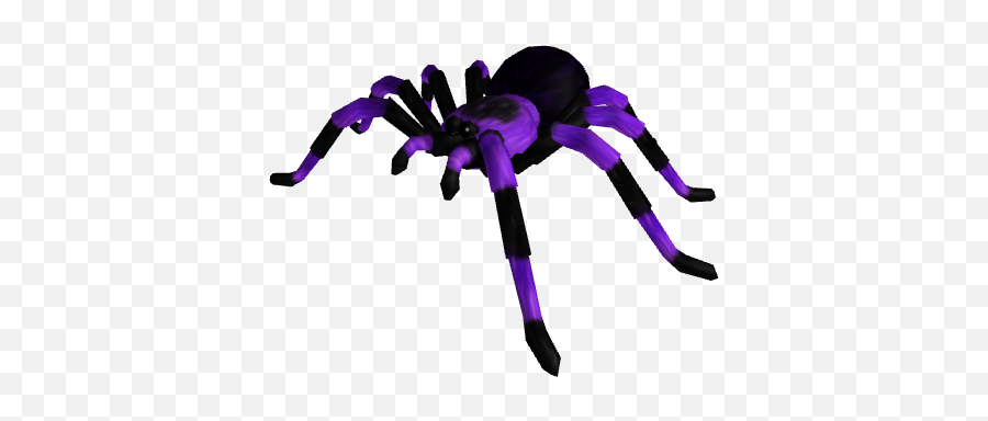 Tarantula - Rbxleaks Roblox Tarantula Png,Tarantula Png