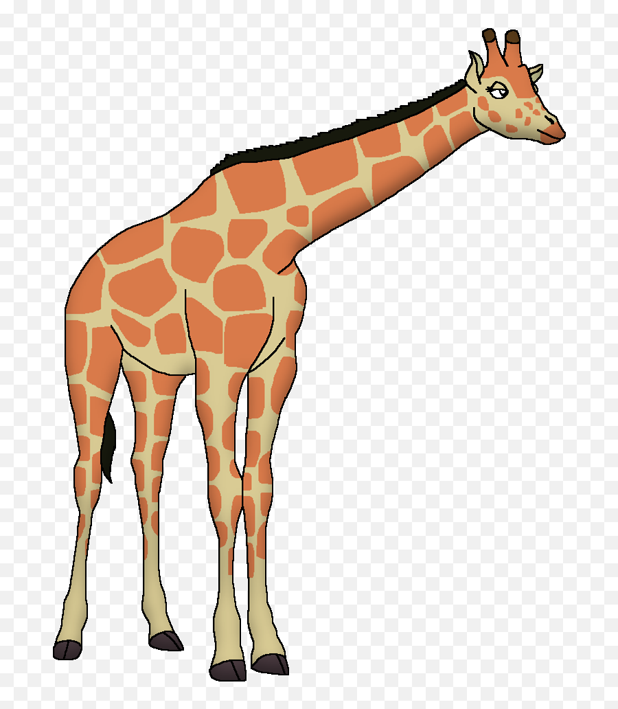 Reticulated Giraffe - Reticulated Giraffe Png,Giraffe Png