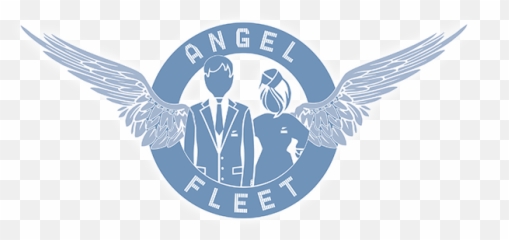 Add An Angel U2013 Fleet - Accipitriformes png
