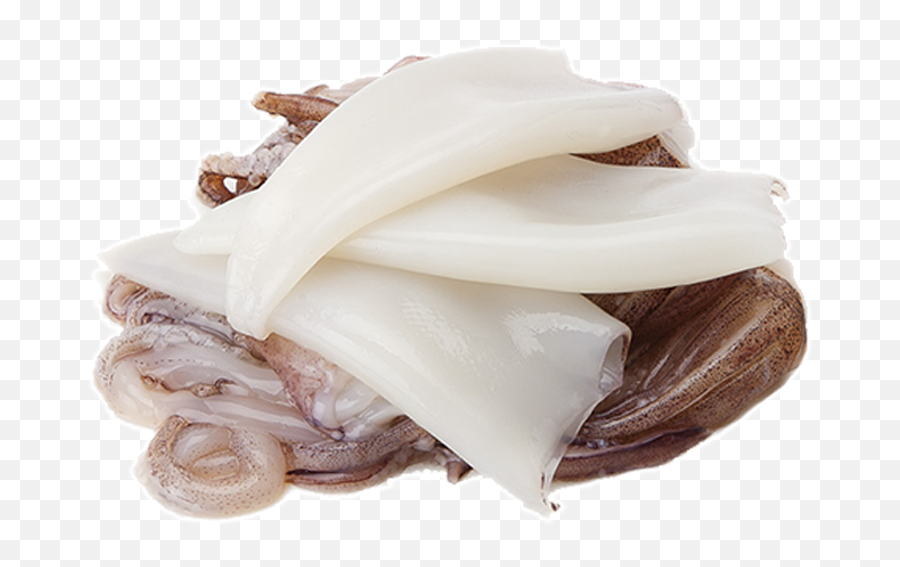 Download Transparent Squid Png - Grasa Animal Png Png Chocolate,Squid Png