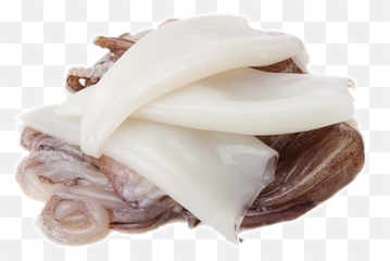 Download Transparent Squid Png - Grasa Animal Png Png Chocolate,Squid Png
