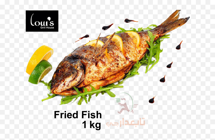 Fried Fish 1 - Kg Tabidargpk Hot Fish Karama Png,Fried Fish Png