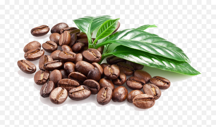 Coffee Beans Png Image - Coffee Bean Png Transparent,Beans Png