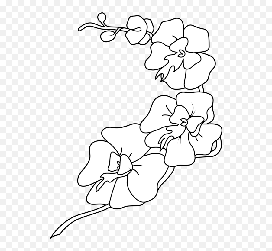 Artmonochrome Photographyshoe Png Clipart - Royalty Free Orchids Clipart Black And White,Orchid Png