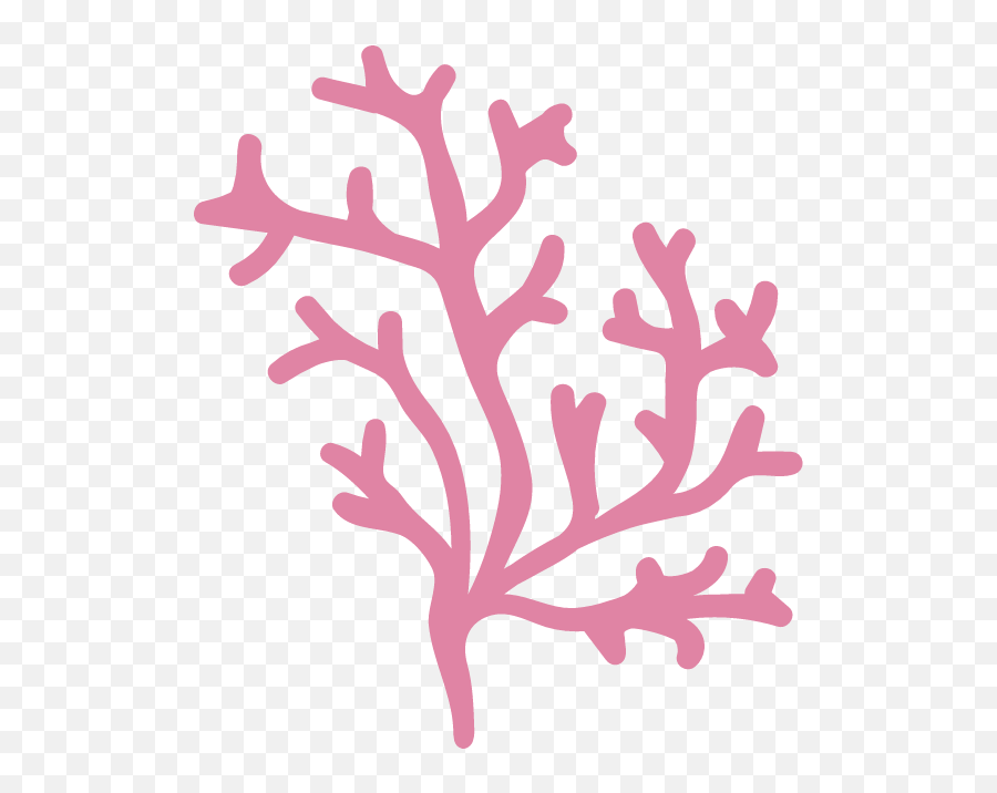 Branching Coral Graphic - Illustrations Free Graphics Stencil Png,Coral Transparent