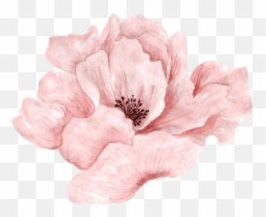 Pink Flowers Portable Network Graphics - Transparent Png