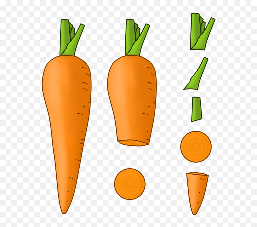 Zanahoria Verduras Frescas Los - Baby Carrot Png,Zanahoria Png