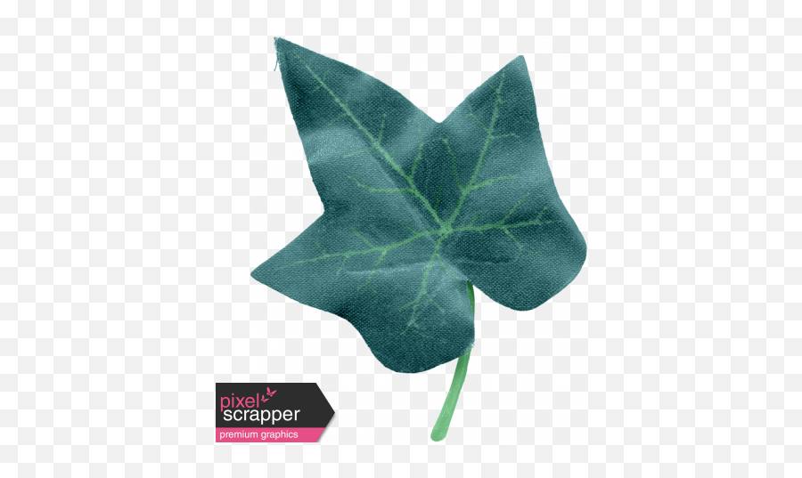 Good Day - Ivy Leaf Medium Graphic By Sharondewi Stolp Ivy Png,Ivy Leaf Png