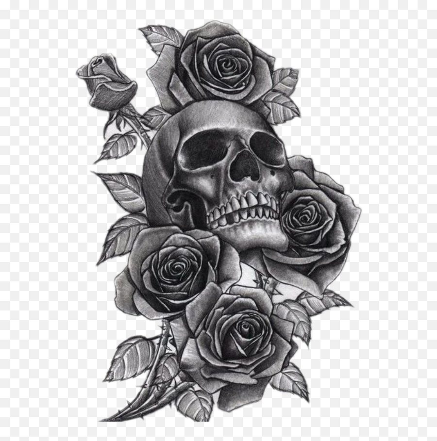 Download Neck Tattoo Png Clip Art Library Stock - Skull And Skull And Rose  Tattoo,Tattoo Png Transparent - free transparent png images 