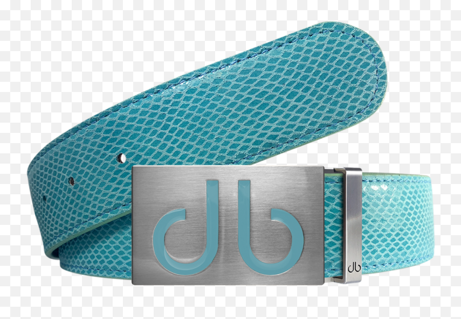 Druh Belts - Embossed Texture Snakeskin And Crocodile Solid Png,Buckle Icon