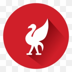 Fm Cases - Bird png