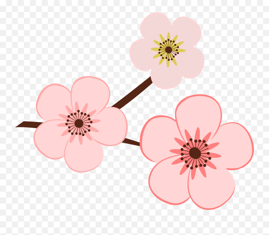 Filesymbol Hoa Dao Tetsvg - Wikimedia Commons Hoa Ào Icon Png,Cherry Blossom Icon