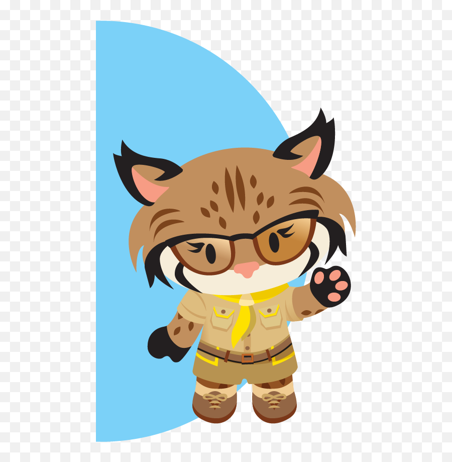 Meet The Salesforce Characters And Mascots - Salesforce Gif Png,Cat Profile Icon