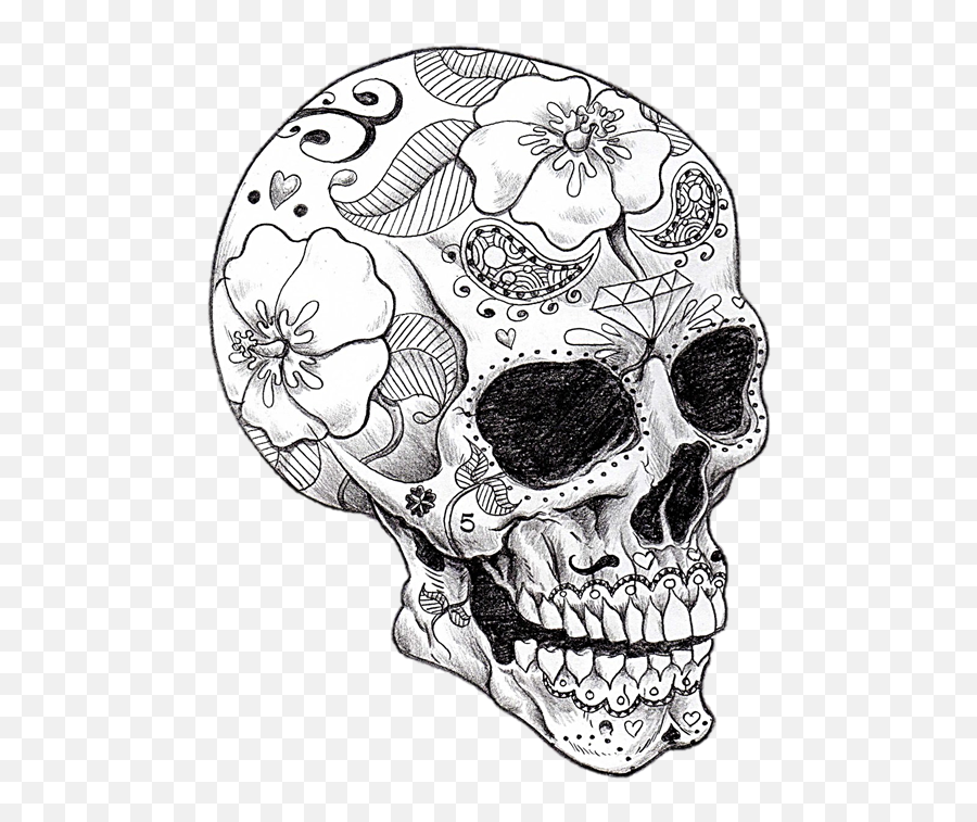 Vector Library Cool Art - Coloring Pages For Adults Png,Skull Drawing Png