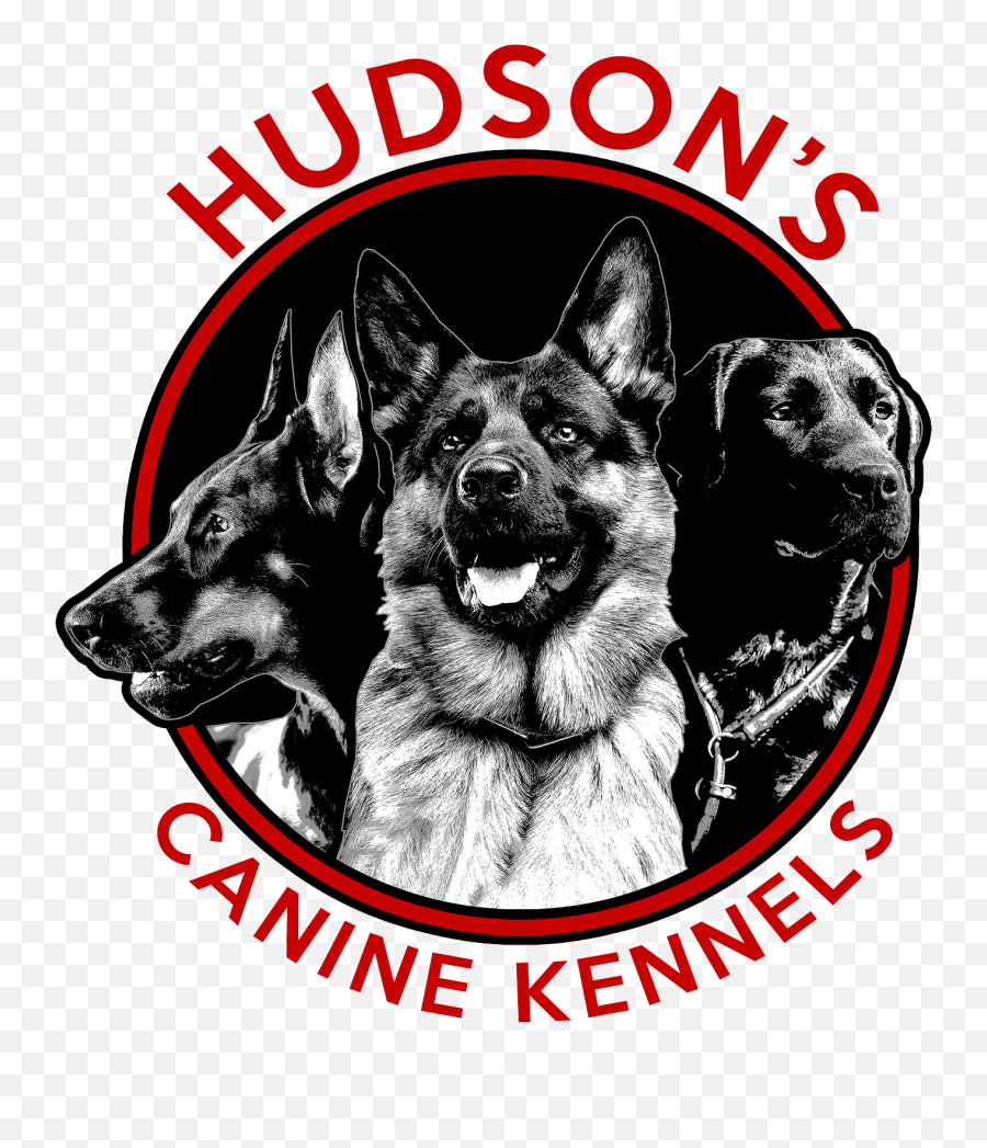 Dog Boarding U2014 Hudsonu0027s Canine Kennels - Hudsons Canine Kennels Png,Icon Shepherd