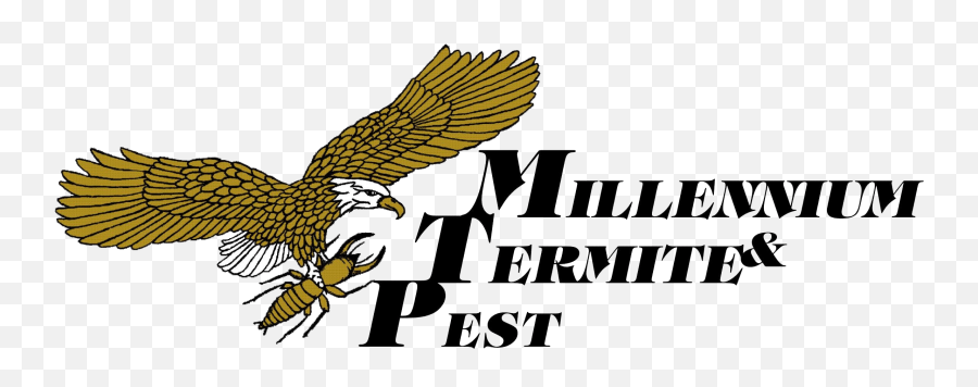 Millennium Termite U0026 Pest Png Peregrine Falcon Icon