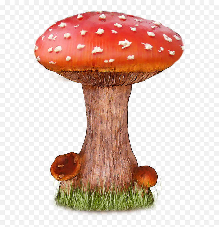 Download Mushroom Png File - Mushroom Png,Mushroom Png