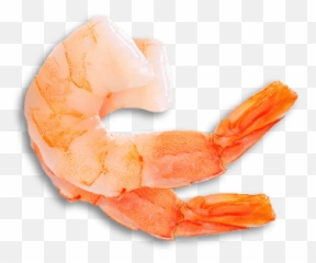 Shrimp - King Crab Png,Shrimp Png