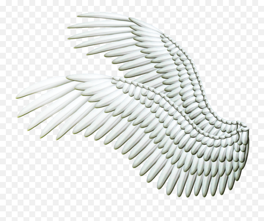 Wings Png Web Icons - Angel Wings Drawning From The Side,White Wings Png