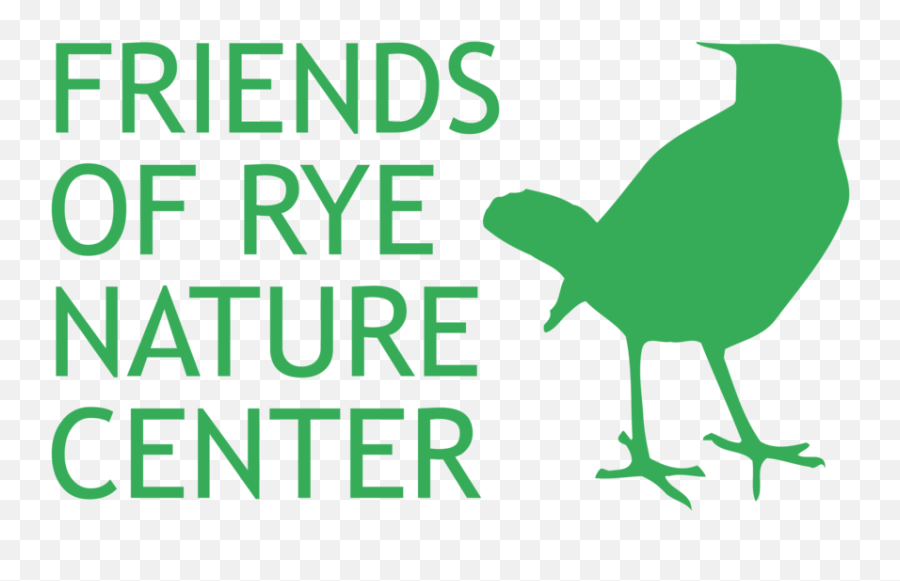 Meteor Shower U2014 Nature News Articles Friends Of Rye Png