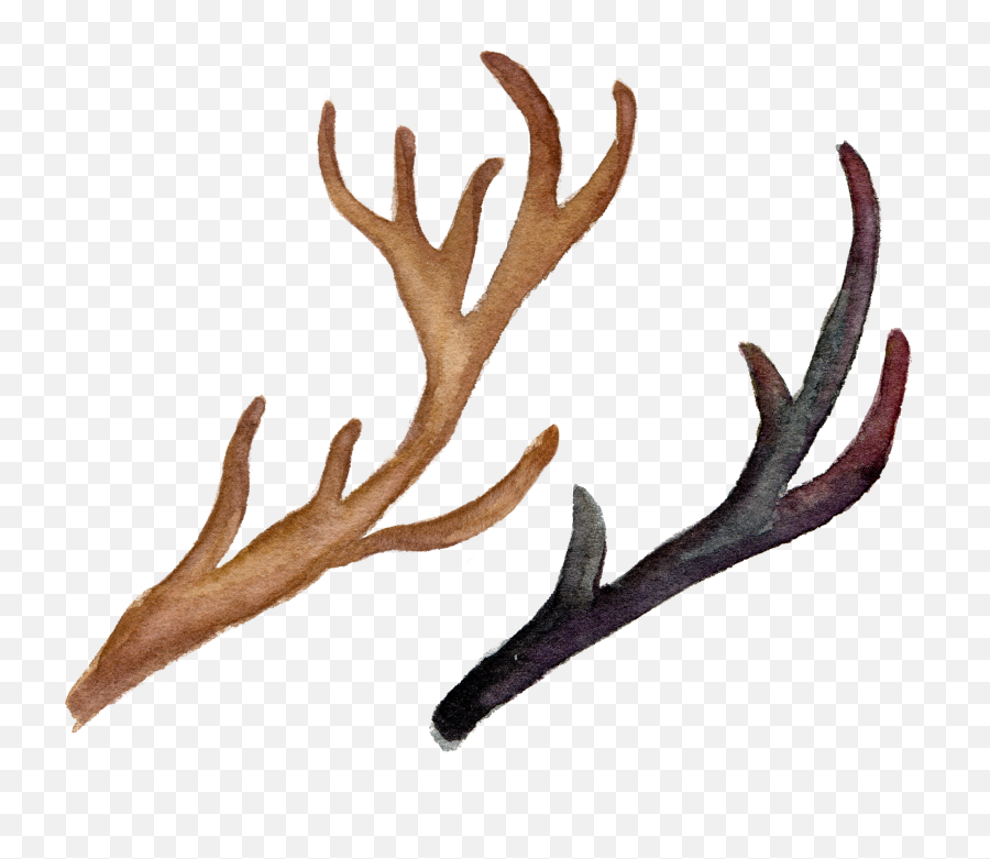 Watercolor Flowers And Deer Antlers - Good Vibes For Success Png,Antlers Png