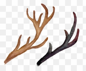 Watercolor Flowers And Deer Antlers - Good Vibes For Success Png,Antlers Png