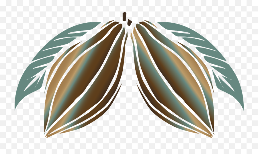 Cocoa Chocolate Plant - Cacao Png,Cocoa Png