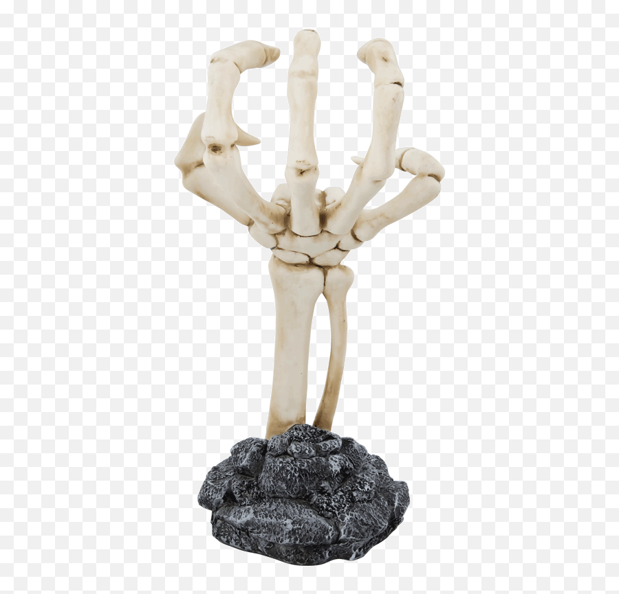 Human Skeleton Body Anatomy - Human Body Png,Skeleton Hand Png