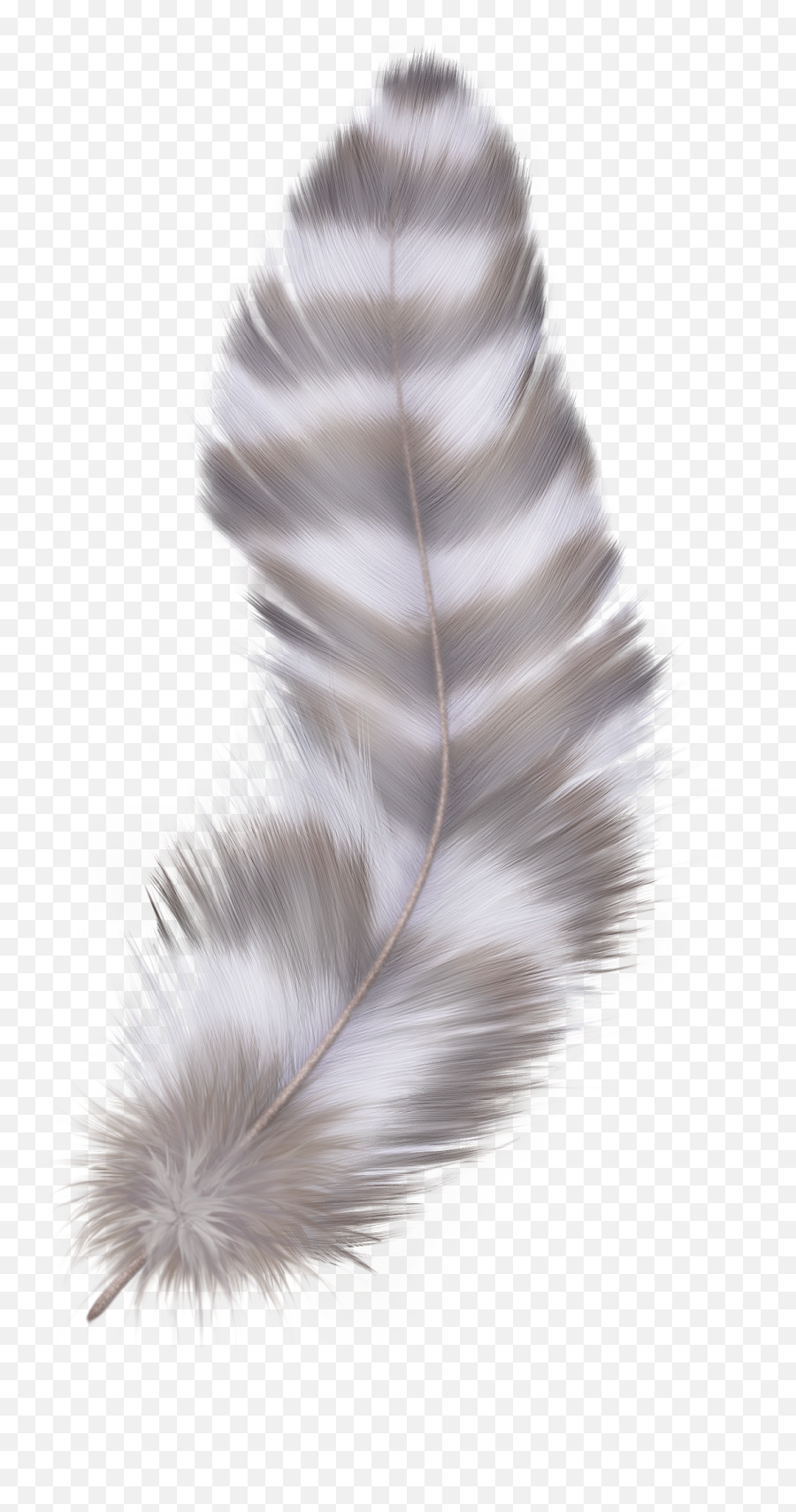 Feather Png - Transparent Background Feathers Png,Black Feather Png