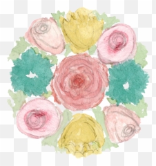 Download North Arrow Png - Full Size PNG Image PNGkit Garden Roses