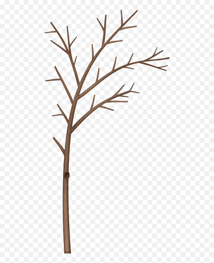 Download Winter Tree Branch Border Clipart Hd Png - Snow Winter Tree Branch Clipart Border,Tree Limb Png