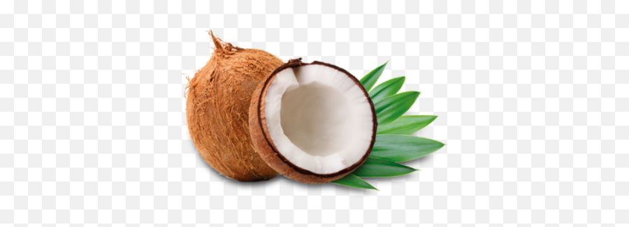 Coconut Free Png Transparent Image - Free Download Template Powerpoint Coconut,Coconut Transparent