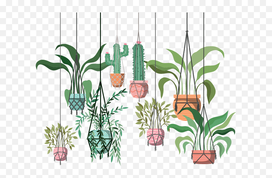 The 10 Best Hanging Plants For Creating An Indoor Instagram - Hanging Flower Plants Illustration Png,Hanging Vines Png